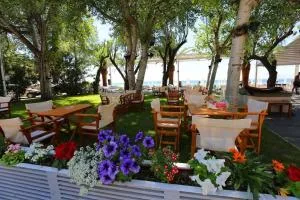 Квартира Халкидики Флогита / Ferienwohnung Chalkidiki Griechenland - Flogita