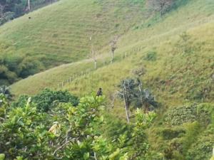 Casa Mirador Alojamiento Campestre