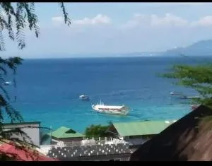 Aloha 1&2 - 波尔多·格尼拉