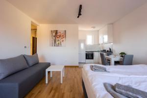 Altina Connect -new, parking, Netflix