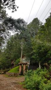 Cabañas las Alazanas