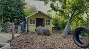 The Sty & The Stable