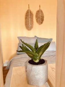Appartements Le Boheme Parking Proche Centre : photos des chambres