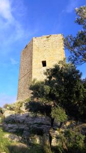 Affittimoderni Viddalba Bouganville - VIBO21 img29