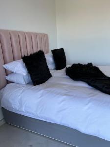 Sibani@ Dolphin coast