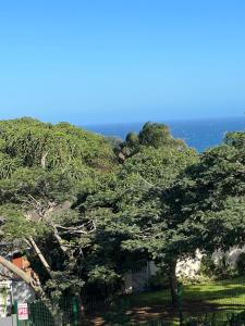 Sibani@ Dolphin coast