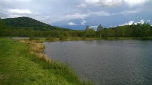 Appartements Les Gites de l etang :Studio a 20 mn de Gerardmer : photos des chambres