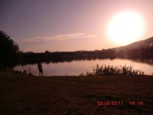 Appartements Les Gites de l etang :Studio a 20 mn de Gerardmer : photos des chambres