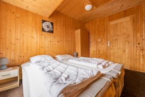 Vakantiehuis Cerny Dul 38