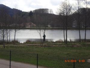 Appartements Les Gites de l etang :Studio a 20 mn de Gerardmer : photos des chambres