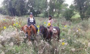 Maisons de vacances ferme equestre des abrons : photos des chambres