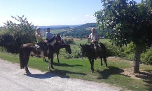 Maisons de vacances ferme equestre des abrons : photos des chambres