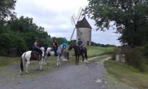 Maisons de vacances ferme equestre des abrons : photos des chambres