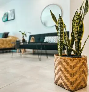 Five Moderno Depto. Ciudad de las Esculturas - Barranqueras