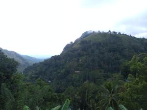 Chamodya Home Stay