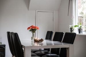 the Little Oasis In Gothenburg