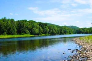 Rare River Views & Access, Cabin by Eden Islands