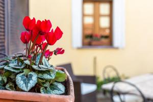 Affittacamere Is Coronas img80