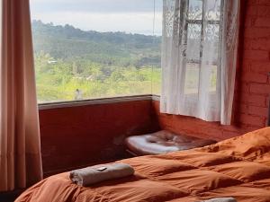 Finca Hotel alto de la gloria Filandia La tierra del encanto