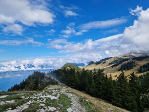 Appartements Appartement tout confort montagne et lac Leman : photos des chambres