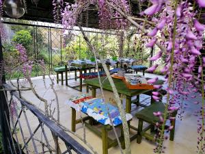 Agriturismo Glamping Erbe Matte img99
