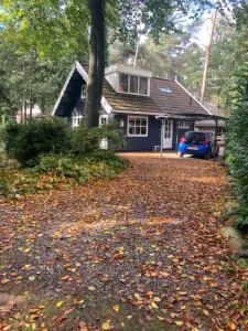 Het Veenhuisje - 诺格