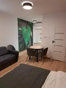 Apartamenty Zielony Liść - Dzikowo