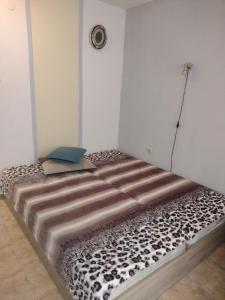 apartment Petr Beron