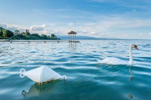 Hotels Hotel de la Plage : photos des chambres