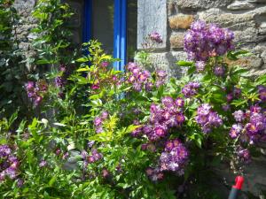 Maisons de vacances Gite Ardoisine : photos des chambres