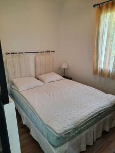 Appartements Les Amandiers : photos des chambres