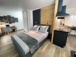 Appartements Easy Location - Parking - Free Wifi - Tourism and Business : photos des chambres