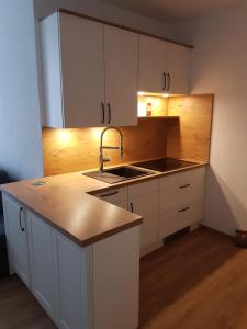 Ferienwohnung in Reichenbach