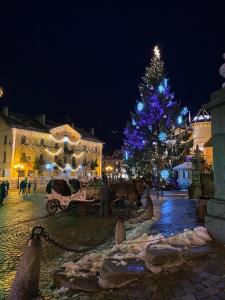 Appartements A place 2 be, Megeve centre : photos des chambres