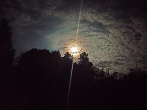 Zselic Szíve Parasztház