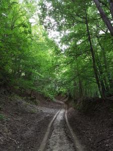 Zselic Szíve Parasztház