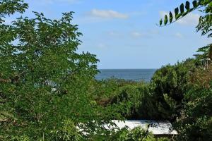 Cabaña bosque y mar