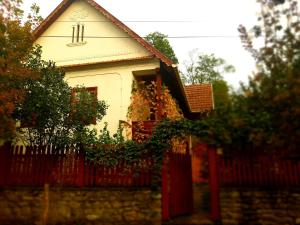 Forrásvölgy vendégház