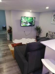 Cozy nest basement unit