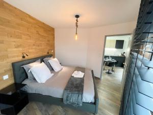 Appartements Easy Location - Parking - Free Wifi - Tourism and Business : photos des chambres