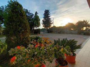 Scicli Country House Il Carrubo