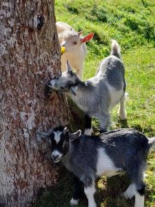 Urlaub an der Grenze