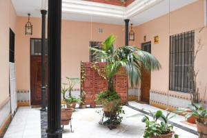 Apartamento Descalzos