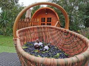 Chalets Ma cabane au fond du jardin : photos des chambres