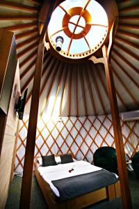 Glamping Dolina