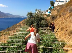 Aegialis Hotel & Spa Amorgos Greece