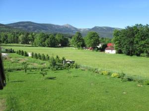 Apartament Panorama Sniezka - Willawil