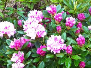 6 person holiday home in Rødby