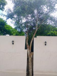 Habitacion Kinich en casa Nicté-há Valladolid