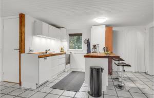 Pet Friendly Home In Spøttrup With Wifi